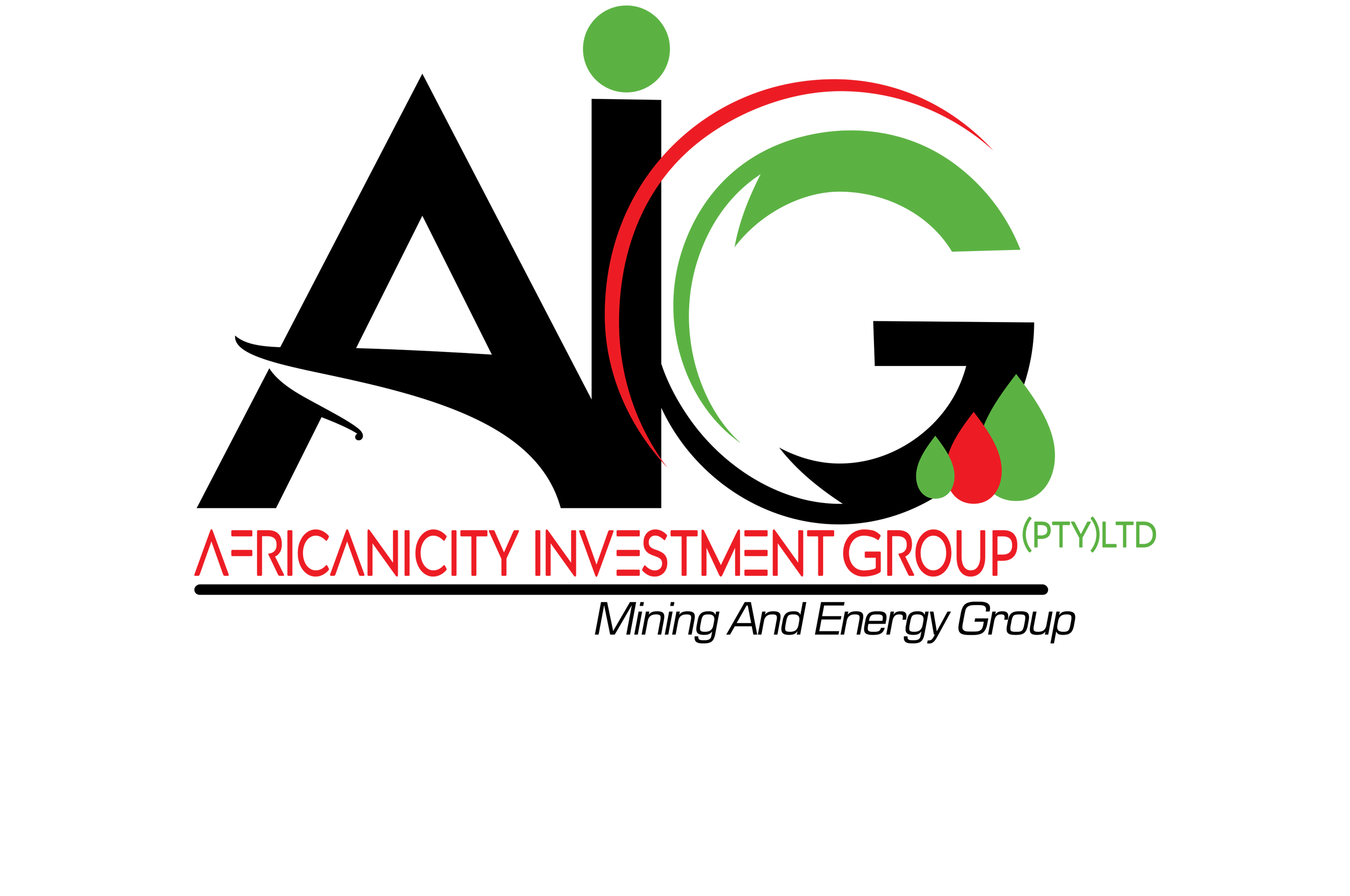 Africanicity Investment Group (AIG)